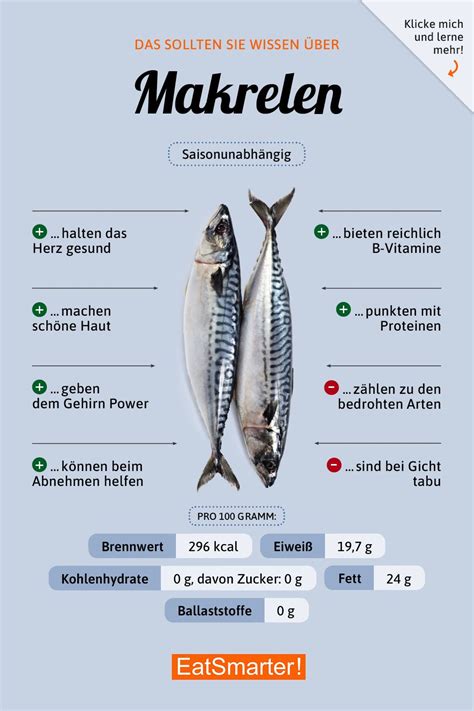 makrele kalorien|makrele gezüchtet.